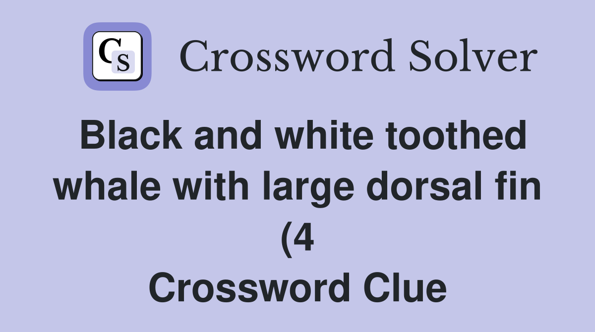 Black and white toothed whale with large dorsal fin (4) Crossword Black and white toothed whale with large dorsal fin (4) Crossword