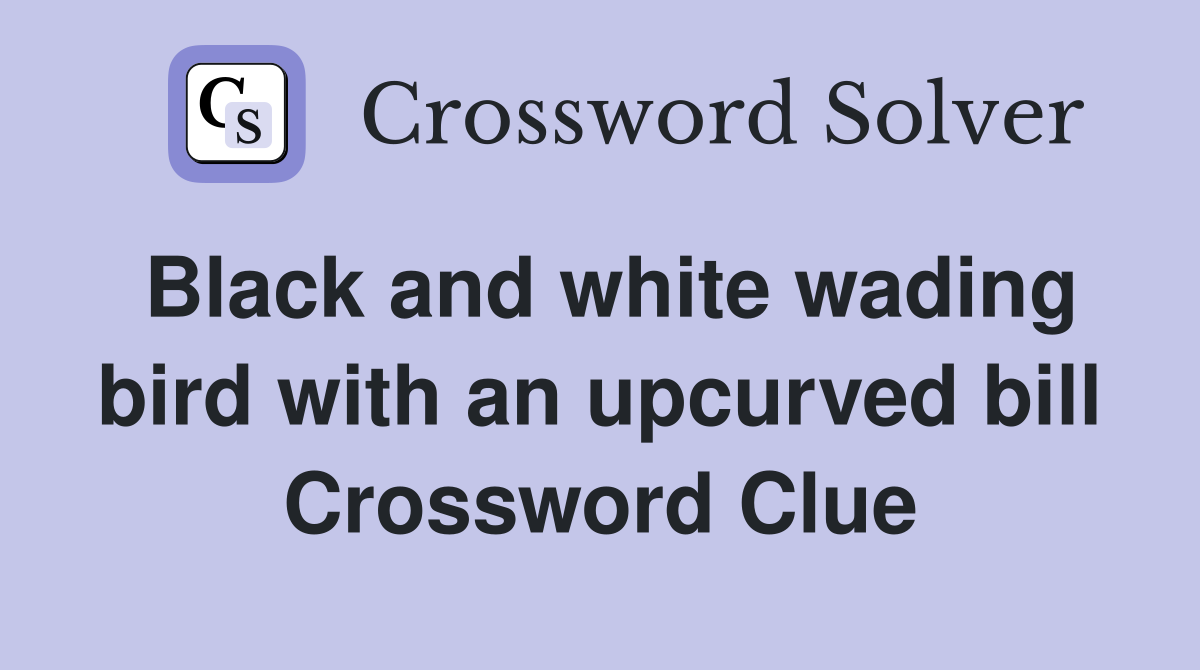 Black and white wading bird with an upcurved bill Crossword Clue