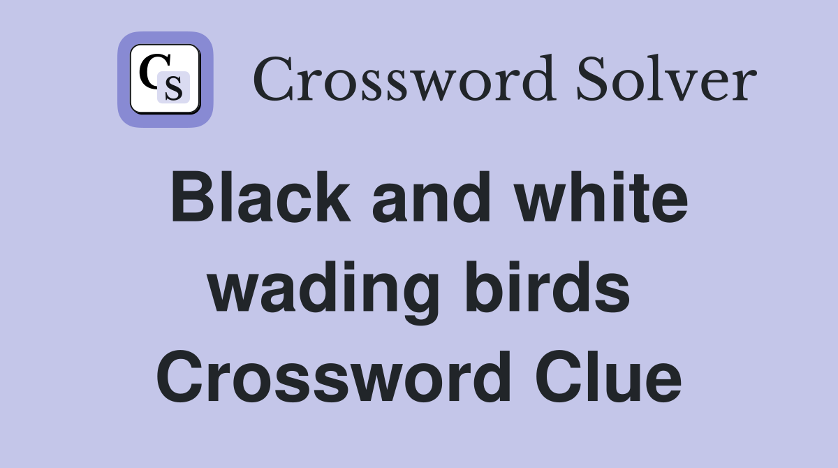 Black and white wading birds Crossword Clue