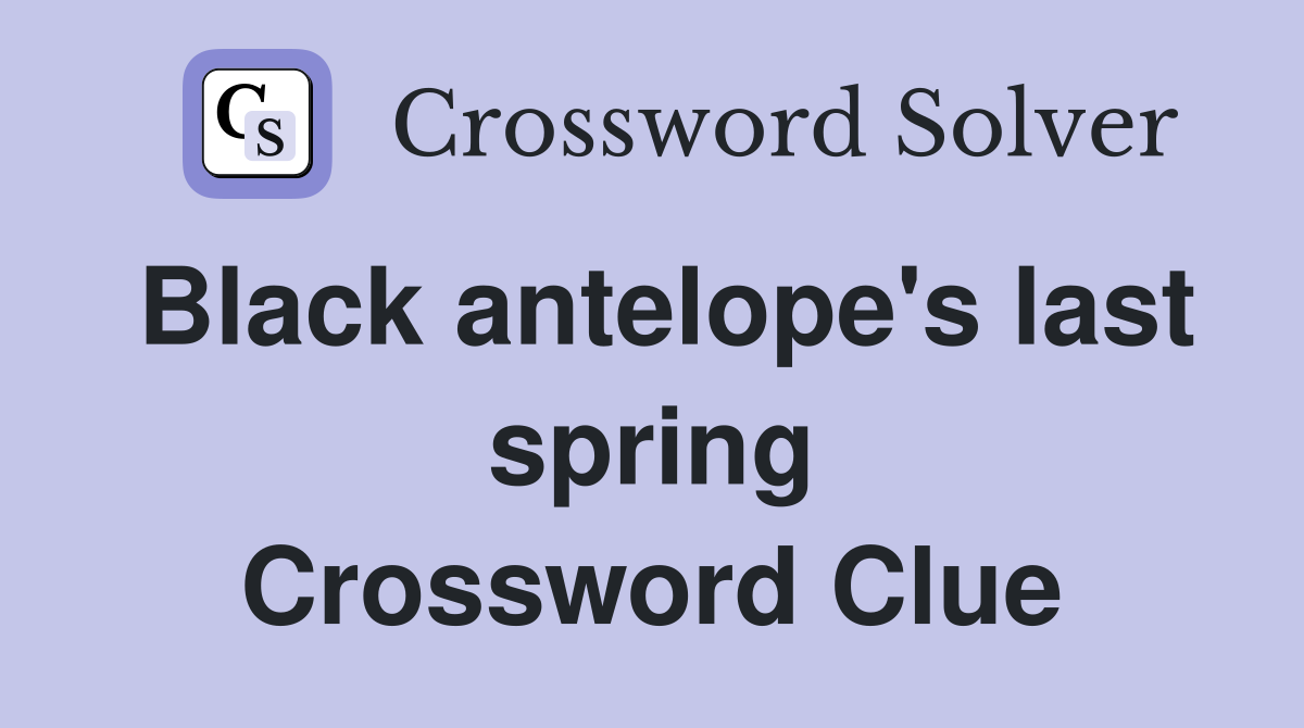 Black antelope's last spring Crossword Clue
