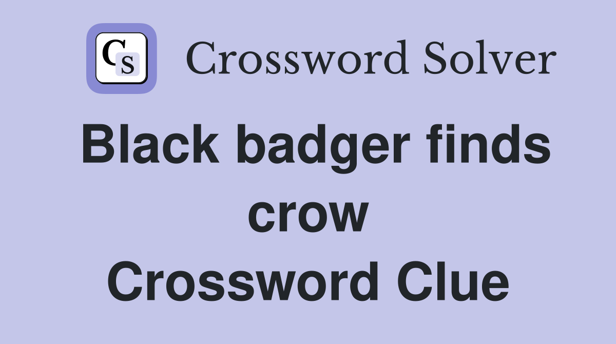 Black badger finds crow Crossword Clue