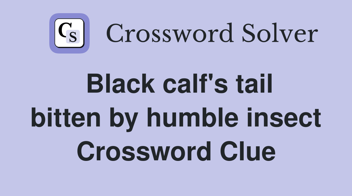 Black calf's tail bitten by humble insect Crossword Clue