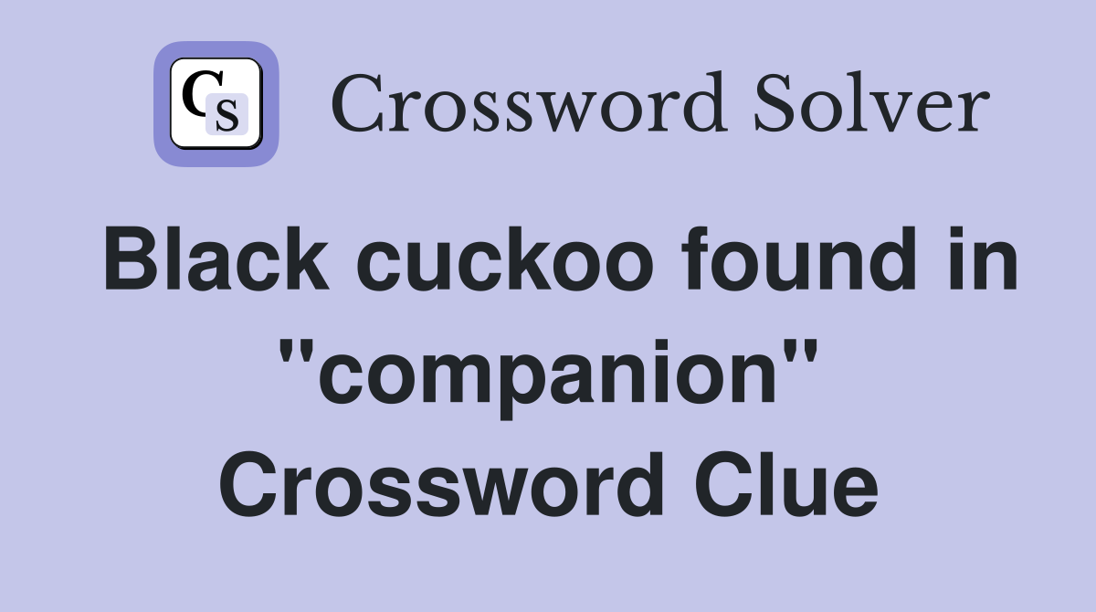 Black cuckoo found in "companion" Crossword Clue