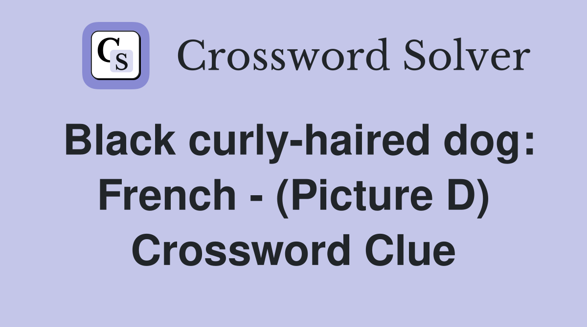 Black curly-haired dog: French - (Picture D) Crossword Clue