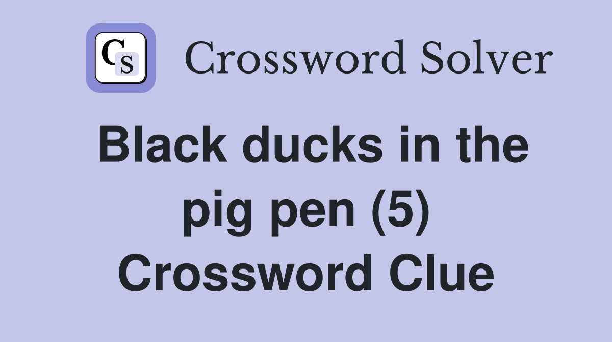 Black ducks in the pig pen (5) Crossword Clue