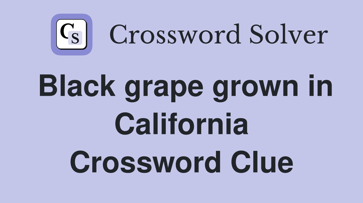 Black grape grown in California Crossword Clue