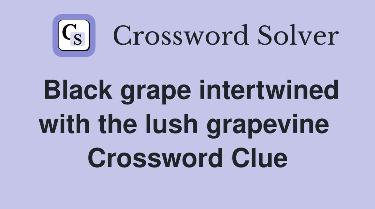 Black grape intertwined with the lush grapevine  Crossword Clue