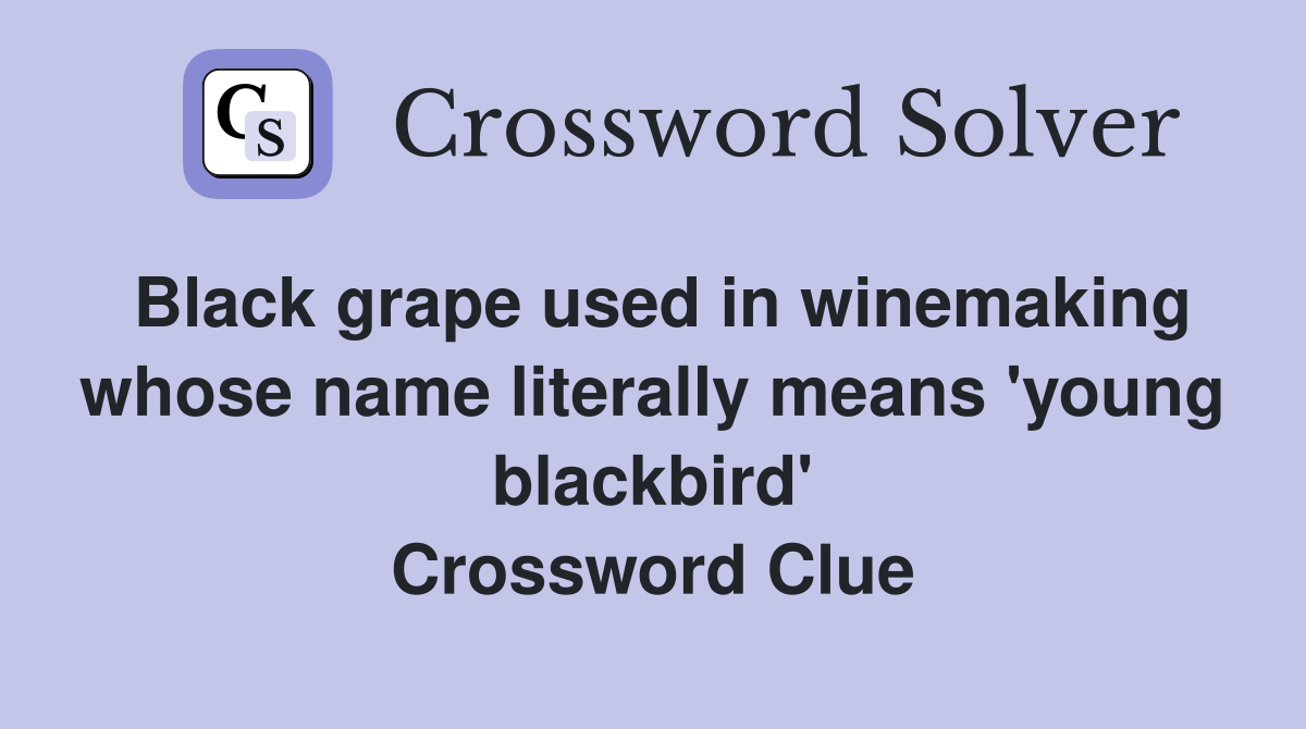 Black grape used in winemaking whose name literally means 'young blackbird' Crossword Clue