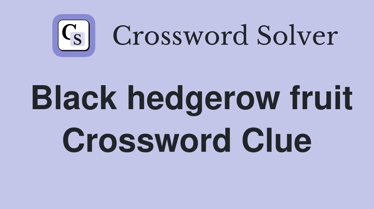 Black hedgerow fruit Crossword Clue