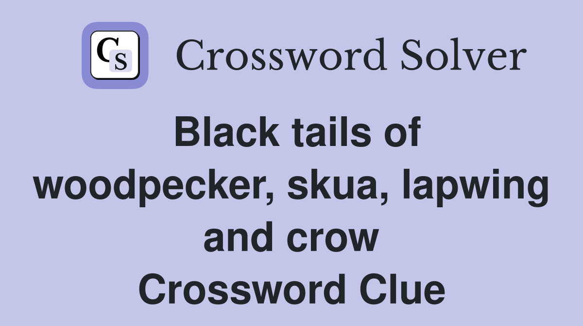 Black tails of woodpecker, skua, lapwing and crow Crossword Clue