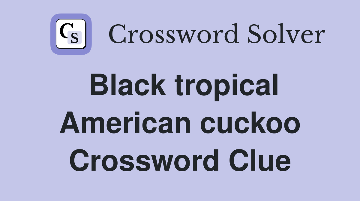 Black tropical American cuckoo Crossword Clue