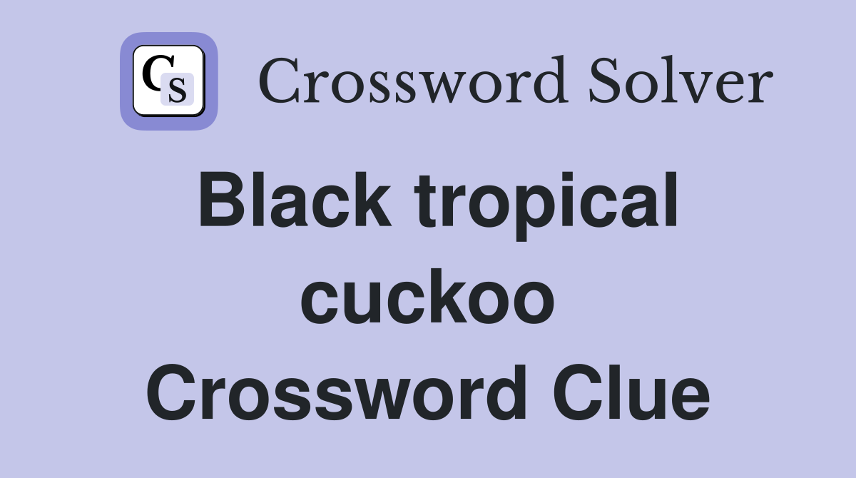 Black tropical cuckoo Crossword Clue