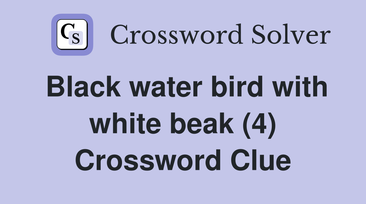 Black water bird with white beak (4) Crossword Clue