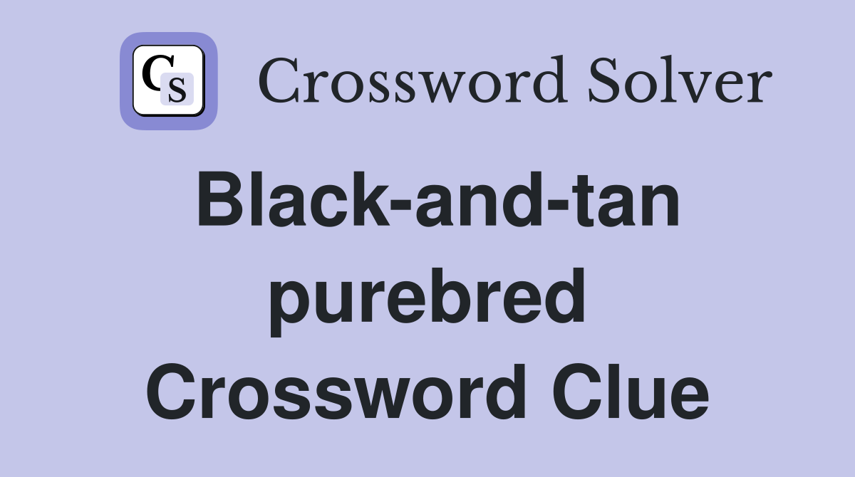Black-and-tan purebred Crossword Clue