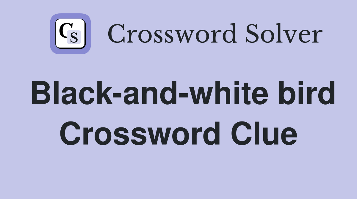 Black-and-white bird Crossword Clue