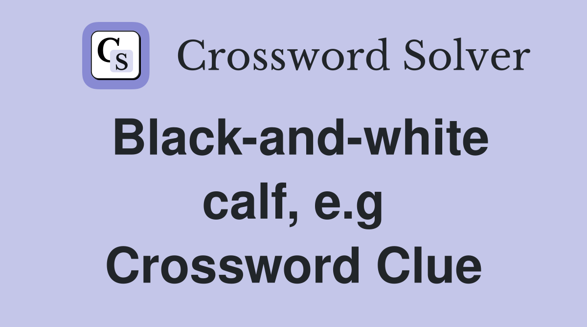 Black-and-white calf, e.g Crossword Clue