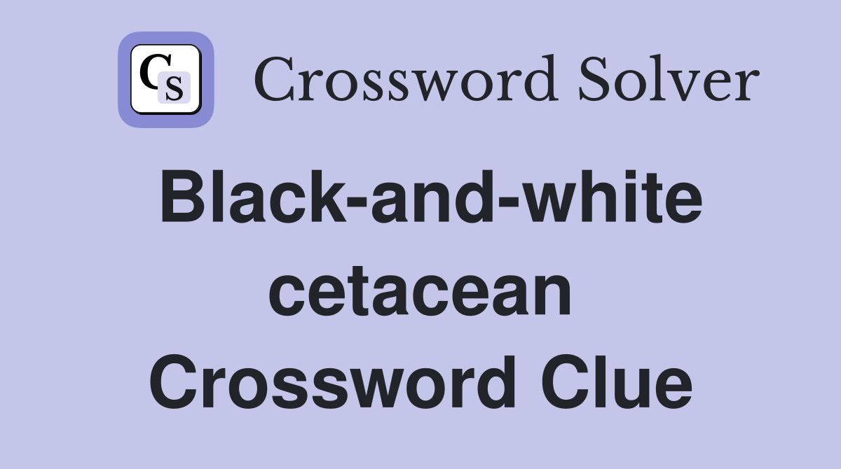 Black-and-white cetacean Crossword Clue