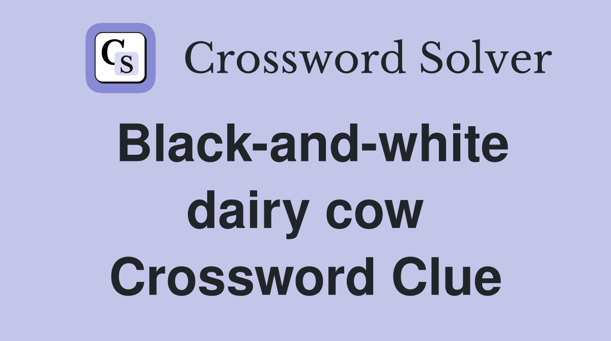 Black-and-white dairy cow Crossword Clue