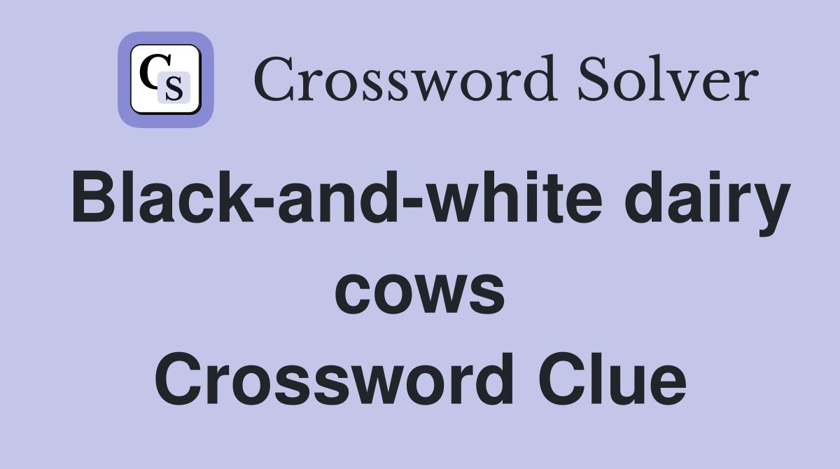 Black-and-white dairy cows Crossword Clue