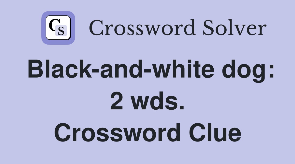 Black-and-white dog: 2 wds. Crossword Clue