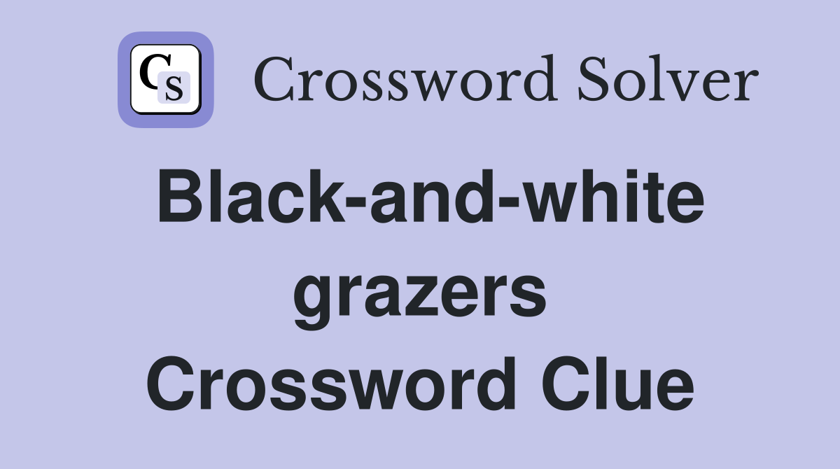 Black-and-white grazers Crossword Clue