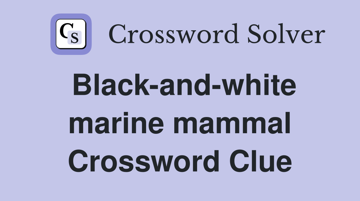 Black-and-white marine mammal Crossword Clue