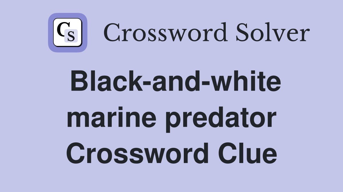Black-and-white marine predator Crossword Clue