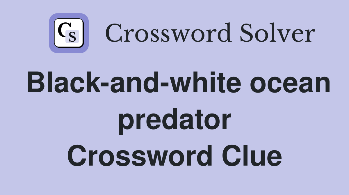 Black-and-white ocean predator Crossword Clue