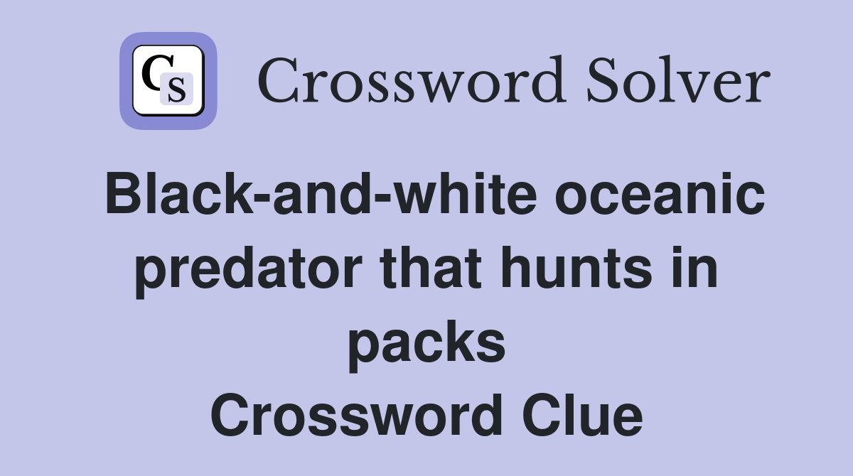Black-and-white oceanic predator that hunts in packs Crossword Clue