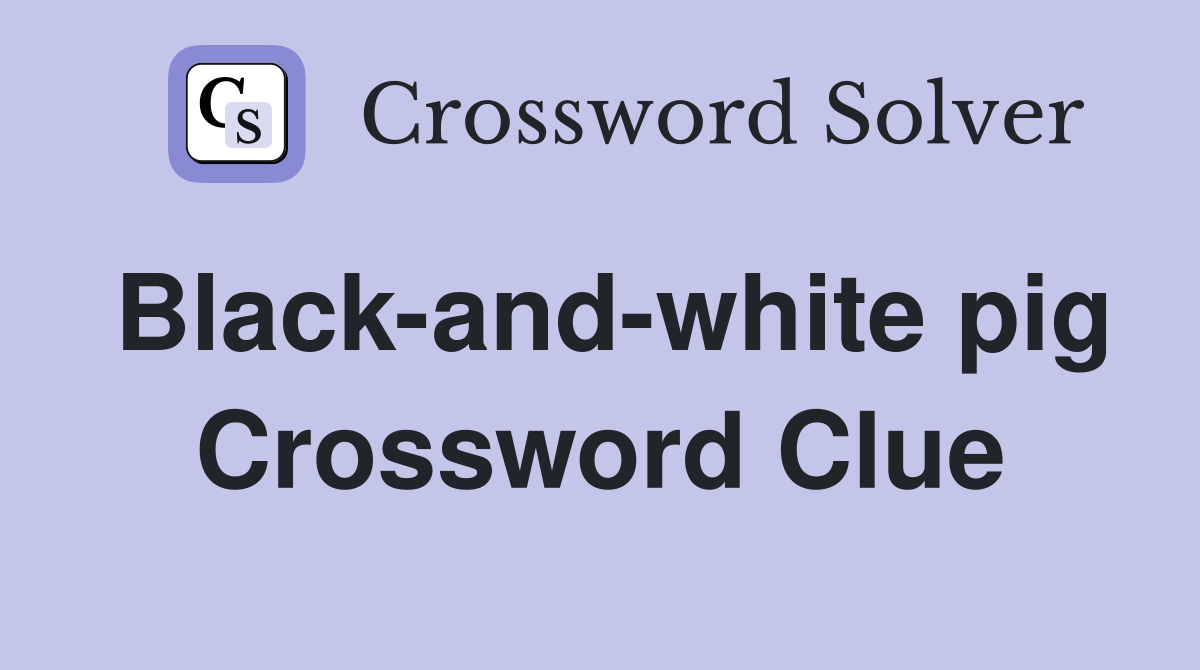 Black-and-white pig Crossword Clue