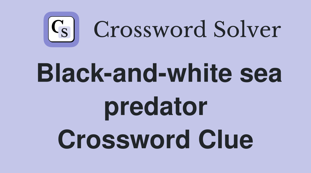 Black-and-white sea predator Crossword Clue