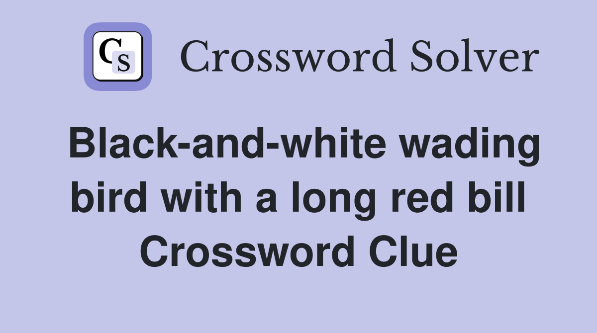 Black-and-white wading bird with a long red bill Crossword Clue