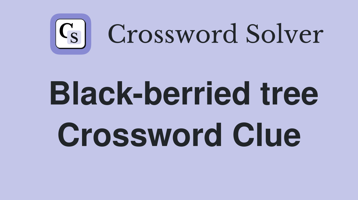 Black-berried tree Crossword Clue