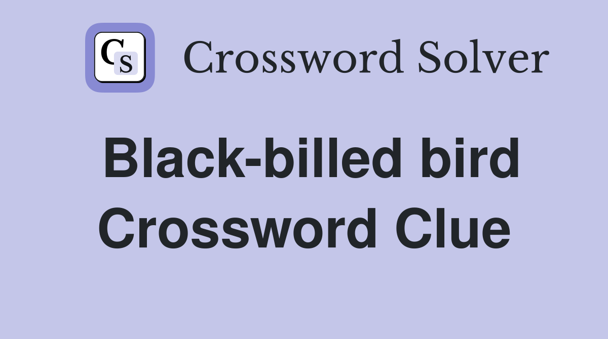 Black-billed bird Crossword Clue