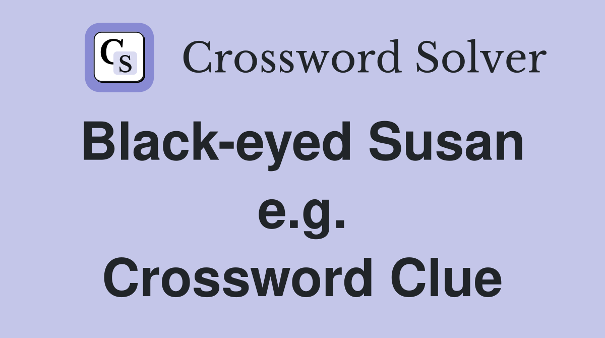 Black-eyed Susan  e.g. Crossword Clue