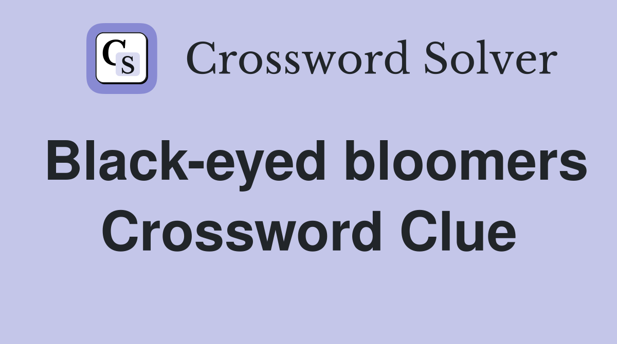 Black-eyed bloomers Crossword Clue