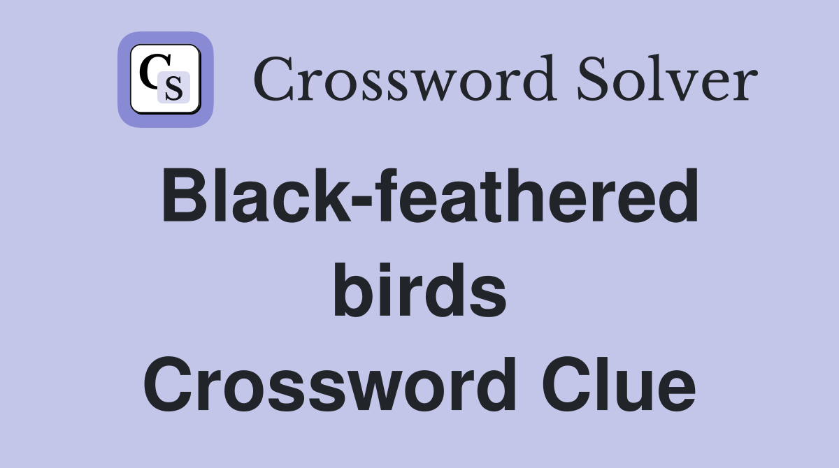 Black-feathered birds Crossword Clue