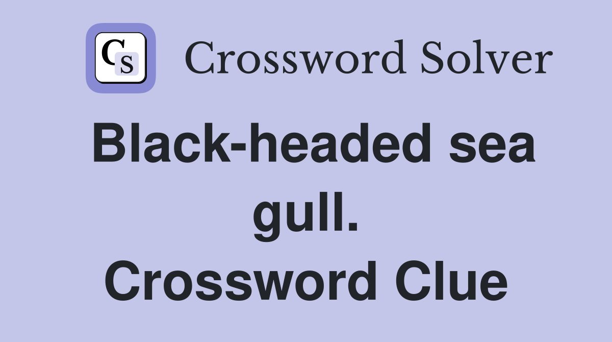 Black-headed sea gull. Crossword Clue