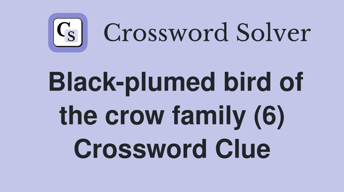 Black-plumed bird of the crow family (6) Crossword Clue