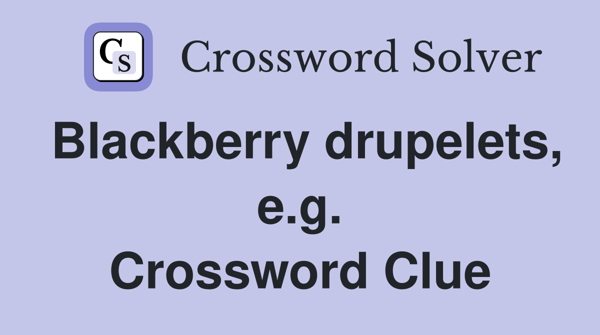 Blackberry drupelets, e.g. Crossword Clue