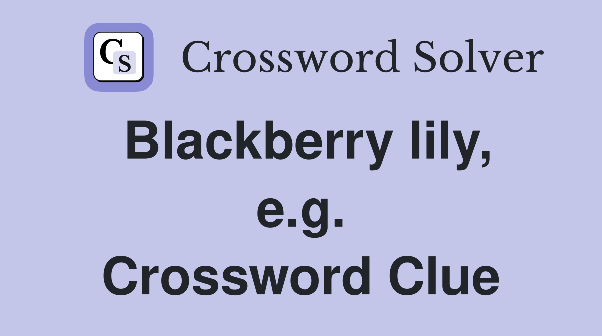 Blackberry lily, e.g. Crossword Clue