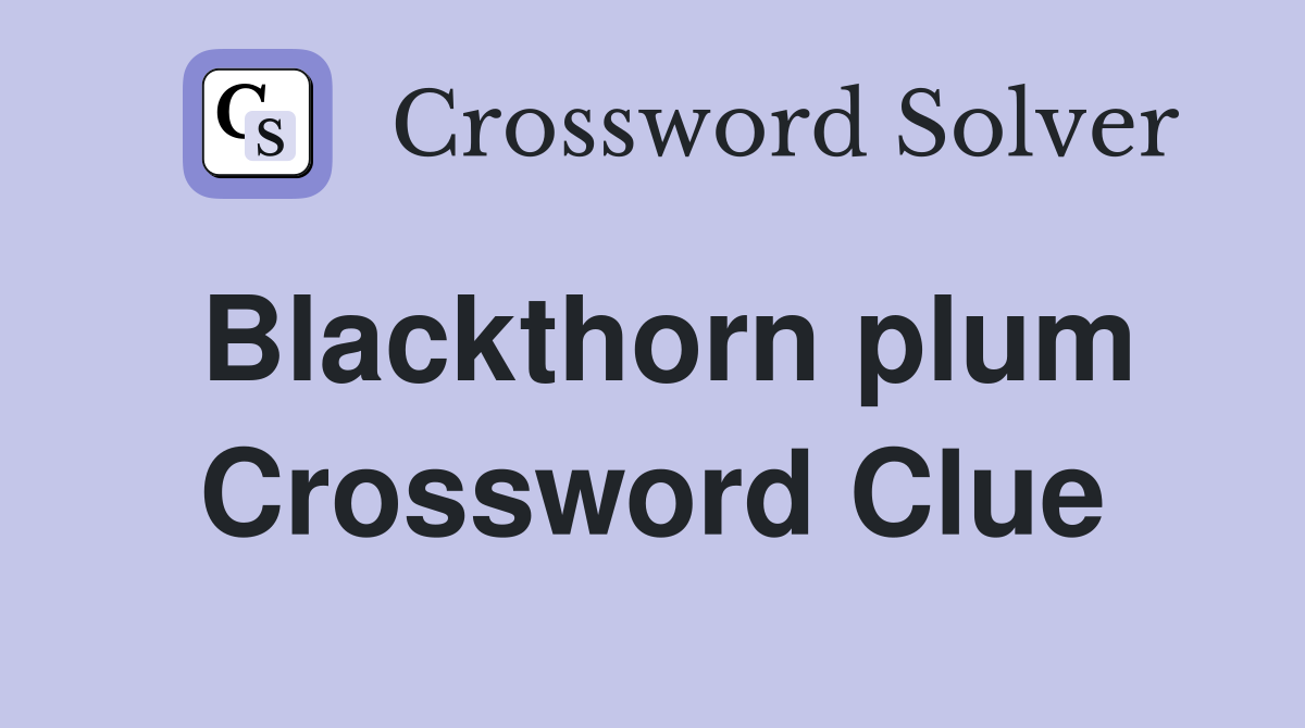 Blackthorn plum Crossword Clue