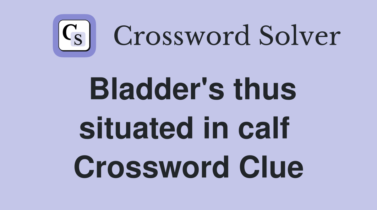 Bladder's thus situated in calf  Crossword Clue