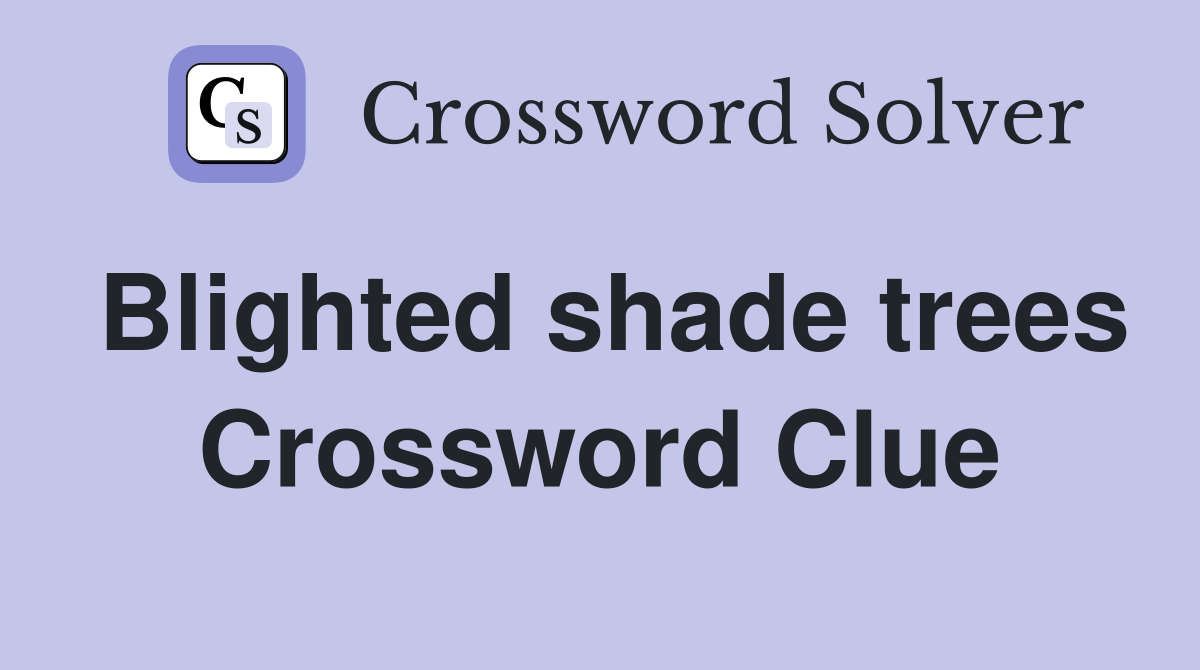 Blighted shade trees Crossword Clue