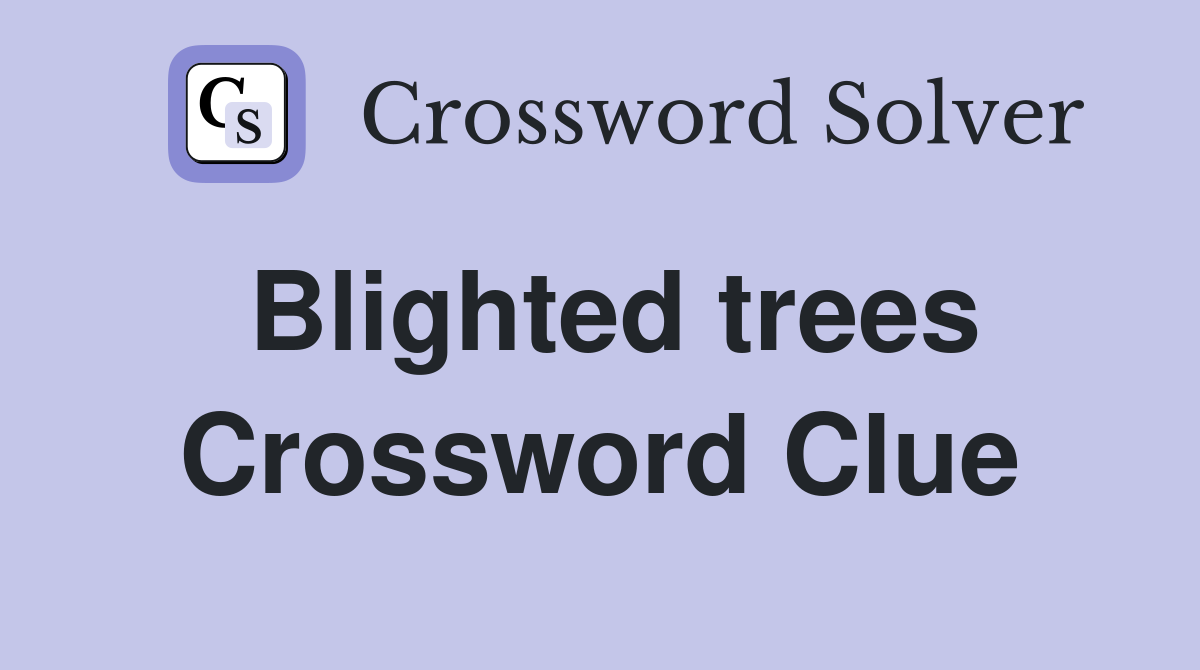 Blighted trees Crossword Clue