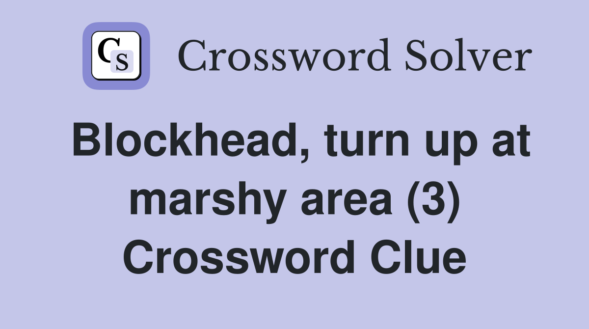 Blockhead, turn up at marshy area (3) Crossword Clue