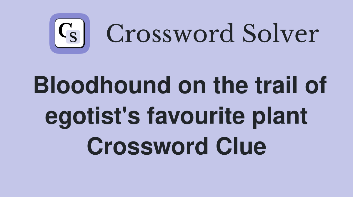 Bloodhound on the trail of egotist's favourite plant Crossword Clue