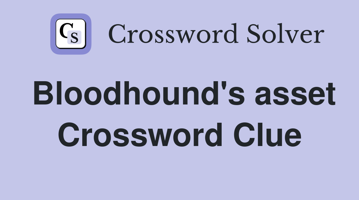 Bloodhound's asset Crossword Clue