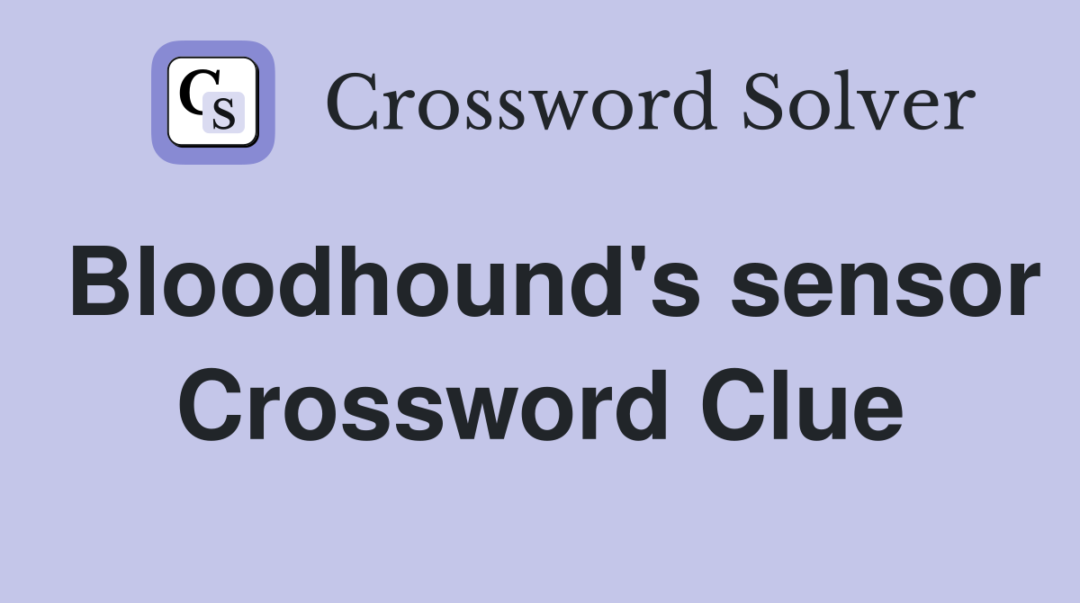 Bloodhound's sensor Crossword Clue