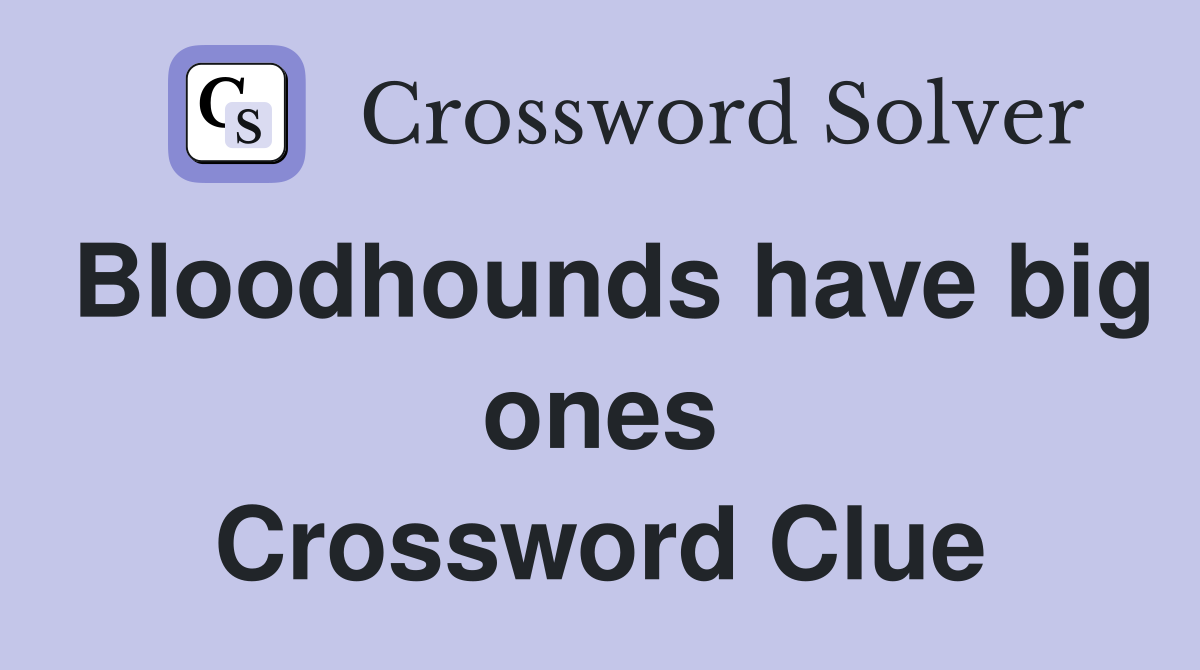 Bloodhounds have big ones Crossword Clue